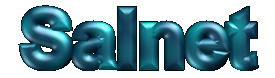 SALNET